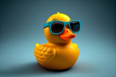 Rubber Duck